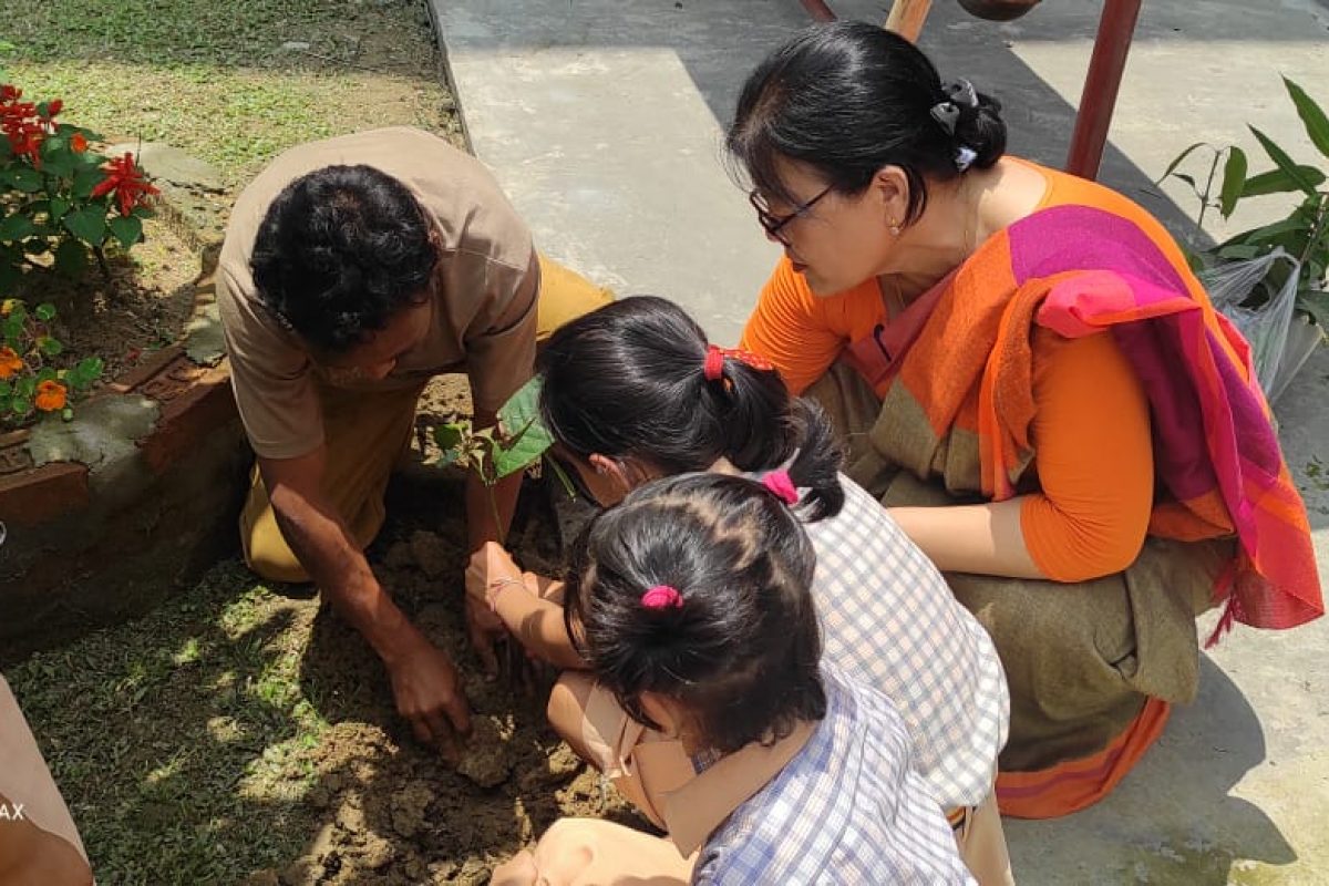 SAPLING PLANTATION BY CLASS 1 & 2